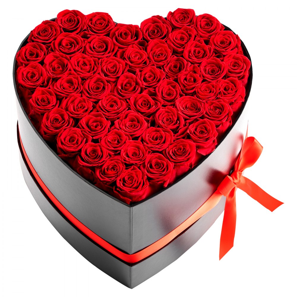VEVOR 50 Rosas Eternas en Caja con Forma de Corazón, Ramo de Flores Preservadas, Caja de Regalo de Flores para tu Esposa, Madre, Pareja, para Boda, Día de la Madre, San Valentín, Navidad, Rojo