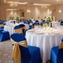 VEVOR Fundas Sillas de Comedor 50 Piezas, Funda para Sillones Elástica de Poliéster y Elastano, para Sillas de Hasta 45 x 46 x 77 cm, Tela Suave y Transpirable, para Boda, Fiestas, Banquetes, Azul