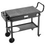 VEVOR Outdoor Grill Cart, 787 x 432mm Tabletop Size Grilling Table, Foldable Outdoor Cooking Table with Tissue Holder, Wheels, Magnetic Tool Rack, BBQ Prep Tables for Picnic, Kitchen, Courtyard