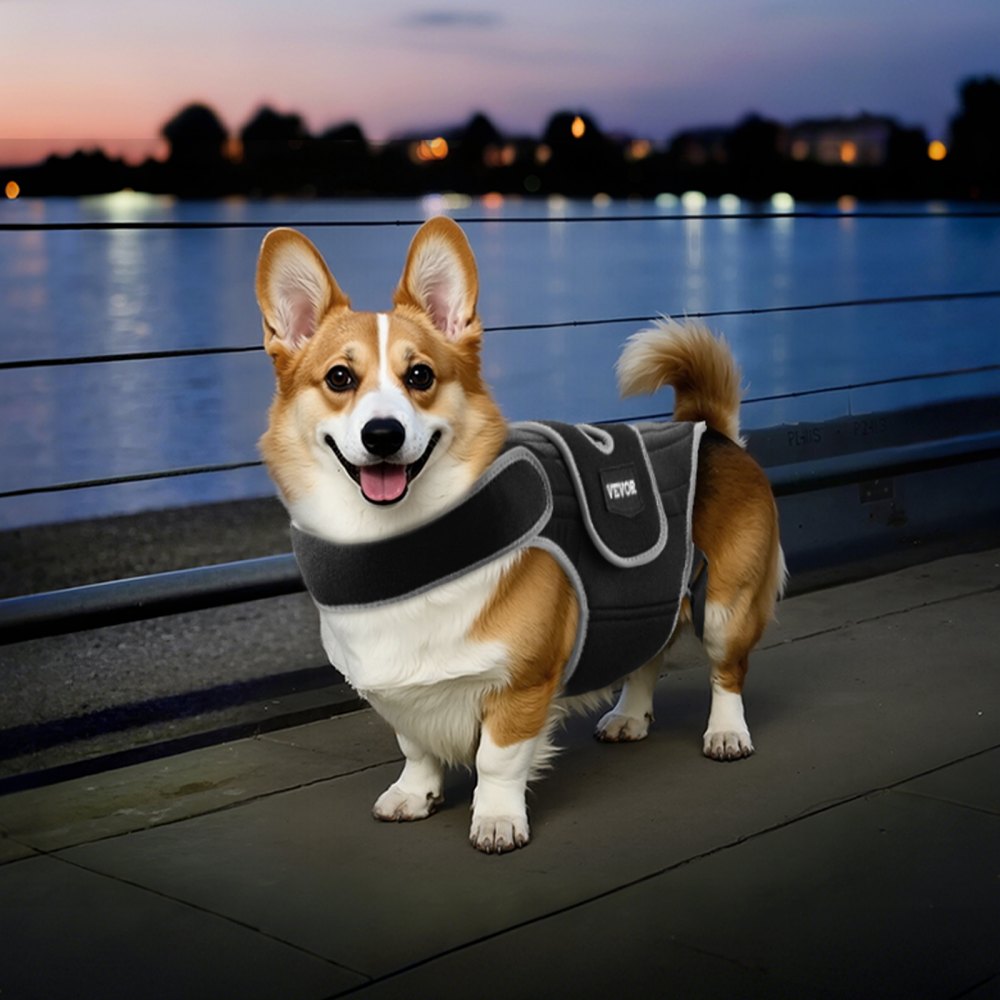 VEVOR Faja Ortopédica para Perros para IVDD, Faja Lumbar con Ribete Reflectante, Soporte para la Columna Vertebral para Perros para Arnés de Soporte Espinal Pre y Posquirúrgico, Talla M, Negro