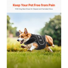VEVOR Arnés de Soporte para la Columna Vertebral para Perros, Talla M, Negro