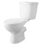 VEVOR Inodoro Sanitario Potente Bomba de Elevación 700 W Sistema de Inodoro Compacto con Descarga Trasera e Inodoro de Descarga, 3 Entradas, para Eliminación de Aguas Residuales, Sótano, Blanco