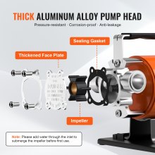 VEVOR Bomba de Extracción de Transferencia de Agua 12 V CC, 360 GPH, 1/10 HP