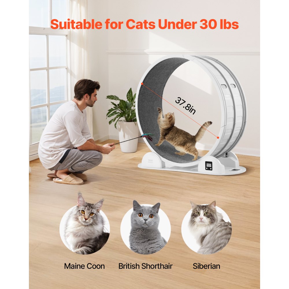 VEVOR Rueda de Ejercicio para Gatos de 1150 x 395 x 1090 mm, Rueda para Correr para Gatos con Freno y Pista Alfombrada, Podómetro, Cinta de Correr Silenciosa para Gatos de Menos de 13,6 kg, Blanco