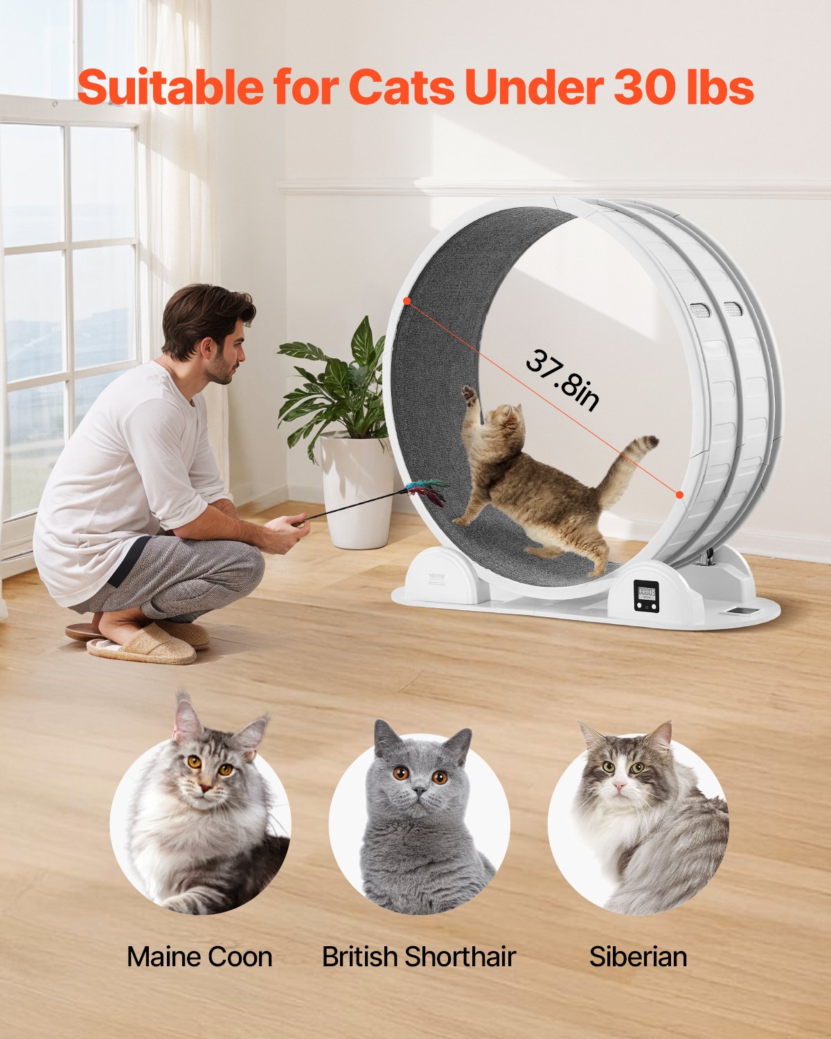 VEVOR Rueda de Ejercicio para Gatos de 1150 x 395 x 1090 mm, Rueda para Correr para Gatos con Freno y Pista Alfombrada, Podómetro, Cinta de Correr Silenciosa para Gatos de Menos de 13,6 kg, Blanco