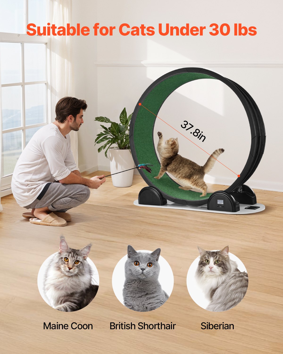 VEVOR Rueda de Ejercicio para Gatos de 1150 x 395 x 1090 mm, Rueda para Correr para Gatos con Freno y Pista Alfombrada, Podómetro, Cinta de Correr Silenciosa para Gatos de Menos de 13,6 kg, Negro