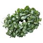VEVOR Artificial Decorative Wreath, 66.04 cm, Seasonal Wreath, Decorated with Eucalyptus Leaves, Berries, Thorny Stems, Door Wreath for All Seasons, for Indoor & Outdoor Use, House Wall, Window, Festive Decoration