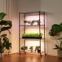 VEVOR Plant Shelf with Grow Light, 4-Tier Indoor Plant Stand, 150 cm Tall Plants Display Rack with Wheels, 90W 3-Color Full Spectrum Grow Lights, Heavy Duty Metal Flower Pot Holder for Seed Starting