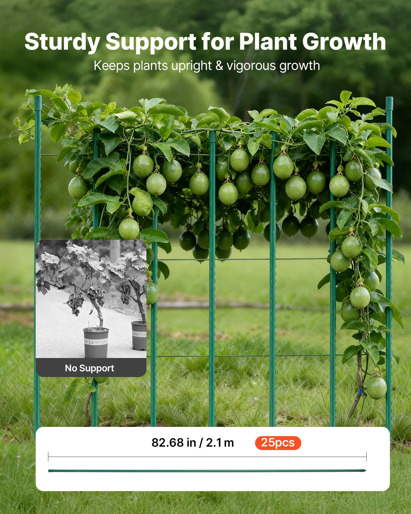 VEVOR Soportes para plantas, ⌀11x2100 mm, tutores de metal recubiertos de plástico para tomates, con extremo puntiagudo y protuberancias antideslizantes para el cultivo de plantas, 25 uds, Verde