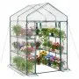 Transparente