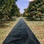 VEVOR Tela de Acolchado 91,4 x 2 m Tela de Control de Malezas Geotextil Jardín Lona PP Alta Permeabilidad Densidad Subyacente Textil para Cubierta del Suelo Jardinería Agricultura Huerto, Negro