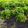 6x300ft Heavy-Duty Weed Control Fabric, Tear-Resistant Weed Control Fabric, Garden Fleece