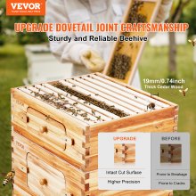 VEVOR Ruche d'abeilles, 30 cadres, bois de cèdre enduit de cire d'abeille, 2 boîtes profondes 1 moyenne, kit ruche Langstroth, fenêtres acrylique transparent fondations pour apiculteurs pro débutants