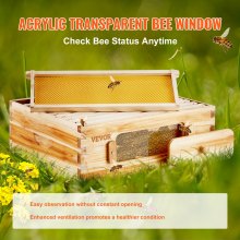VEVOR Kit ruche d'abeille Langstroth moyenne 10 cadres avec fenêtres acrylique