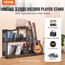 VEVOR Meuble Platine Vinyles Support Tourne-disque en Métal à 3 Niveaux Noir