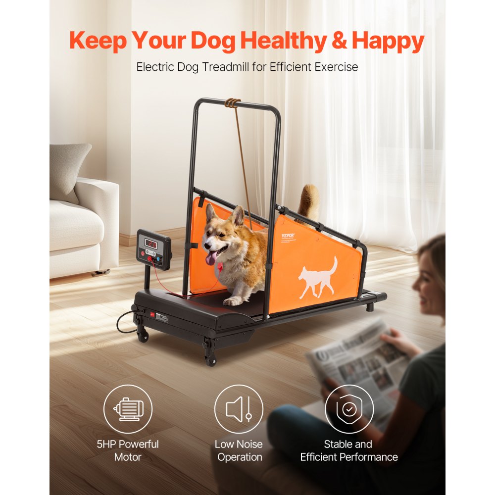 Tapis électrique télécommandé avec laisse et roulettes - Spécial agilité 2