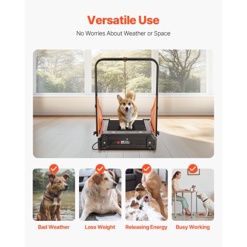 Tapis D'équilibre Sensoriel Pour Chien - Surface Texturée En PVC - Entraînement, Massage, Jeu - Environ 33 Cm - 6