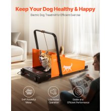 VEVOR Tapis de Marche de Course Électrique pour Chiens de Taille Moyenne 90 kg