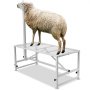 moutons sur un support à bétail VEVOR, mettant en valeur la construction en métal robuste et la plate-forme en maille.