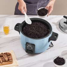 VEVOR Cuiseur à Riz Commercial Pot Antiadhésif 10L 24H Maintien au Chaud Cuisine