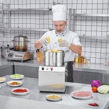 VEVOR Robot Culinaire Hachoir à Légumes 6 L en Acier Inoxydable Alimentaire