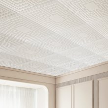 VEVOR Dalles de Plafond Lot de 12 PVC 605 mm x 605 mm Déco Motif Echo Blanc