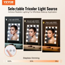 VEVOR Miroir Maquillage Hollywood Ampoules LED et Miroir Grossissant 5X 41x30 cm