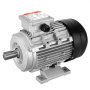 VEVOR Moteur 1,5kW 3000tr/min CA230/400V 9,5/3,5A triphasé arbre à clavette 24mm