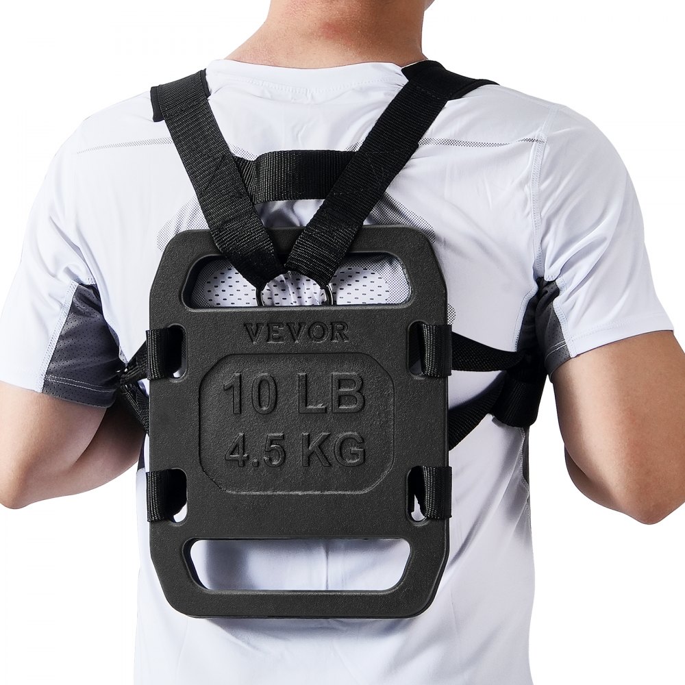 VEVOR Plaque lestée en fonte pour musculation squat avec poignée 4,5 kg paires