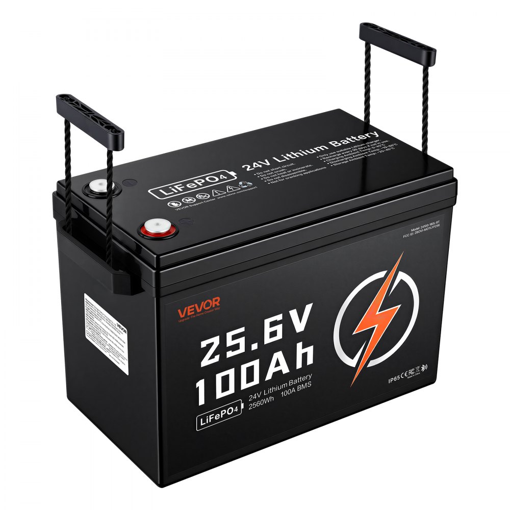 VEVOR Batteria al Litio LiFePO4 24V 100Ah 4000+ Cicli 2560Wh con Bluetooth per Camper, Motori Elettrici, Pesca, Barche, Impianti Solari, Connessione 8P2S, BMS 100A, Protezione dalle Basse Temperature