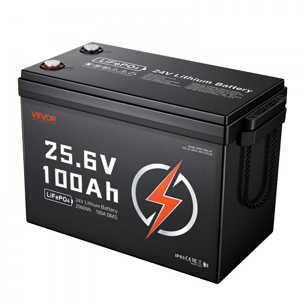 VEVOR Batteria al Litio LiFePO4 24V 100Ah 4000+ Cicli 2560Wh con Bluetooth per Camper, Motori Elettrici, Pesca, Barche, Impianti Solari, Connessione 8P2S, BMS 100A, Protezione dalle Basse Temperature