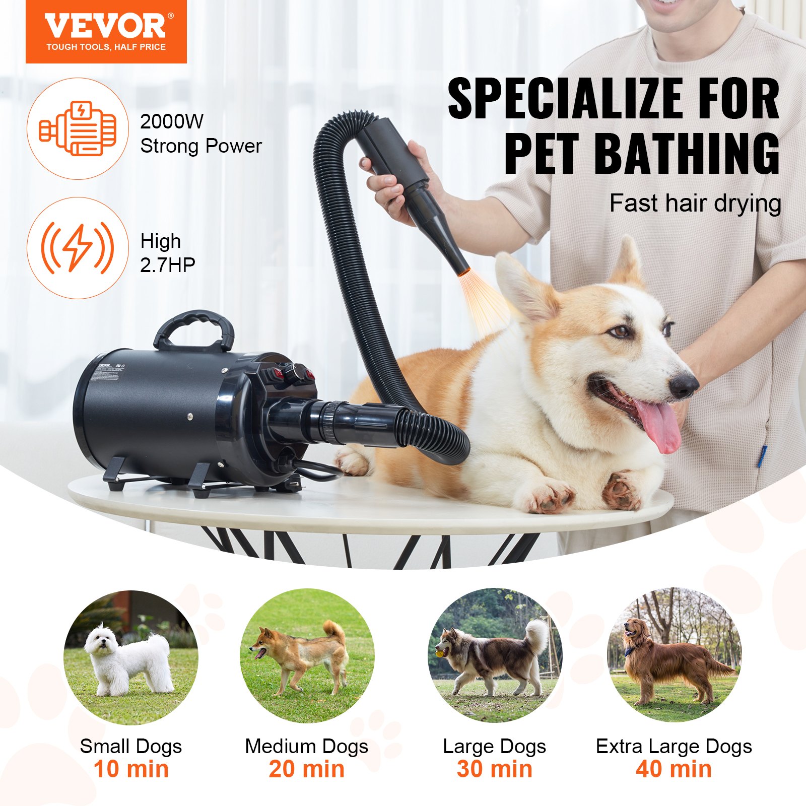 VEVOR Asciugatore Tosatore per Cani Gatti Portatile Potenza 2000W, Aspirapelo per Cane Gatto Animali Domestici 4 Testine Sostituibili Velocità Massima del Vento 70 m/s, Asciugatore per Pelo di Animali