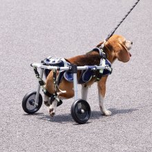 VEVOR Sedia a rotelle per animali domestici misura XS per zampe posteriori