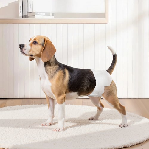Pannolini Monouso Per Cani Femmina VEVOR, Super Assorbenti, Con Indicatore Di Umidità, Taglia M, 144 Pezzi