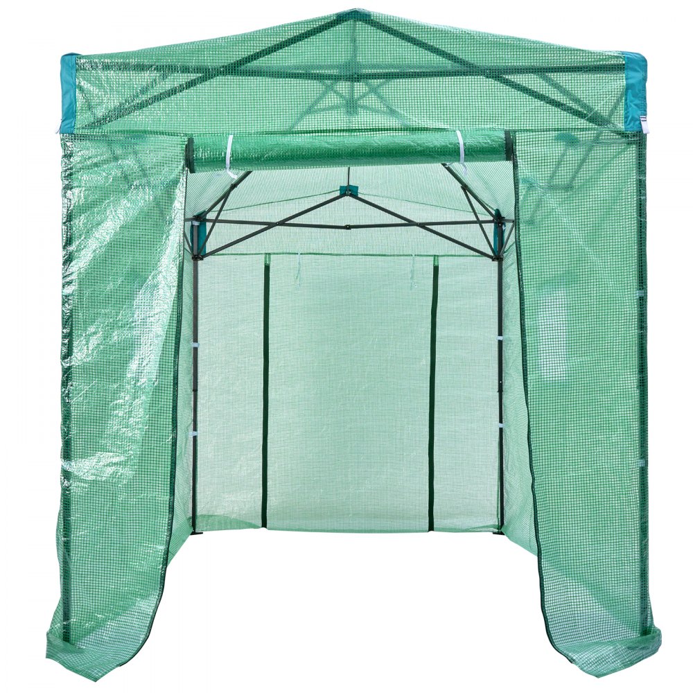 VEVOR Serra Pop-up, Serra Pop-up 8'x 6'x 7,5', Installazione in Pochi Minuti, Copertura in PE ad Alta Resistenza con Porte e Finestre e Telaio in Acciaio Verniciato a Polvere, Adatta per la Piantagion
