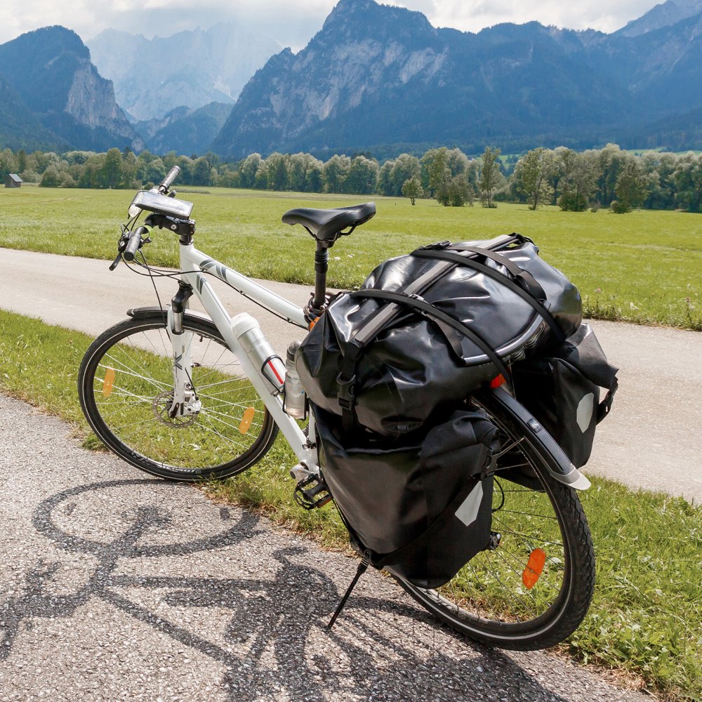 VEVOR Corda Elastica Piatta, Cinghie Elastiche Resistenti con Ganci a S in Acciaio, Corda Elastica da 0,81 m per Carichi, Teloni, Camion e Tende, Corda Elastica Piatta con Gancio Nero 50 Pezzi