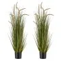 2 pezzi - 119,4 cm - Erba Equiseto