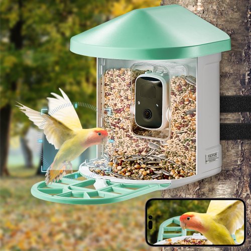Mangiatoia Intelligente Per Uccelli Con Fotocamera Integrata - BBPECO Verde