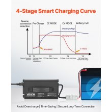 VEVOR Caricabatterie Intelligente per Batterie al Litio 36V 18A 43,8V AC-DC