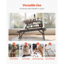 VEVOR Tapis Roulant per Cani di Media Taglia max. 220 Libbre Larghezza 44,5cm