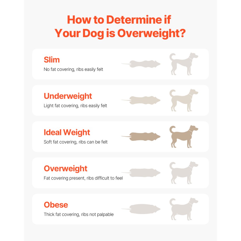 VEVOR Tapis Roulant per Cani di Taglia Media, Capacità 99,79 kg, Macchina per Correre con Rampe Regolabili per Cani, Attrezzatura per Esercizi con Tapis Roulant per Animali Domestici al Chiuso Aperto