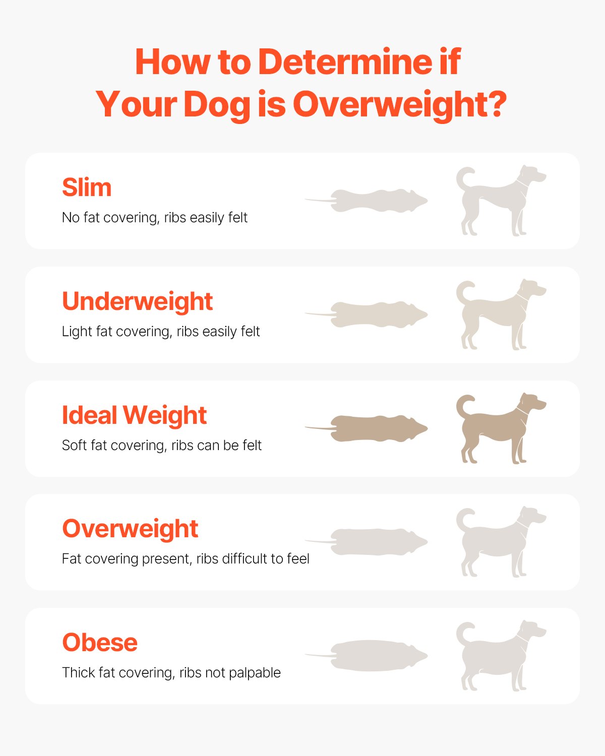 VEVOR Tapis Roulant per Cani di Taglia Media, Capacità 99,79 kg, Macchina per Correre con Rampe Regolabili per Cani, Attrezzatura per Esercizi con Tapis Roulant per Animali Domestici al Chiuso Aperto