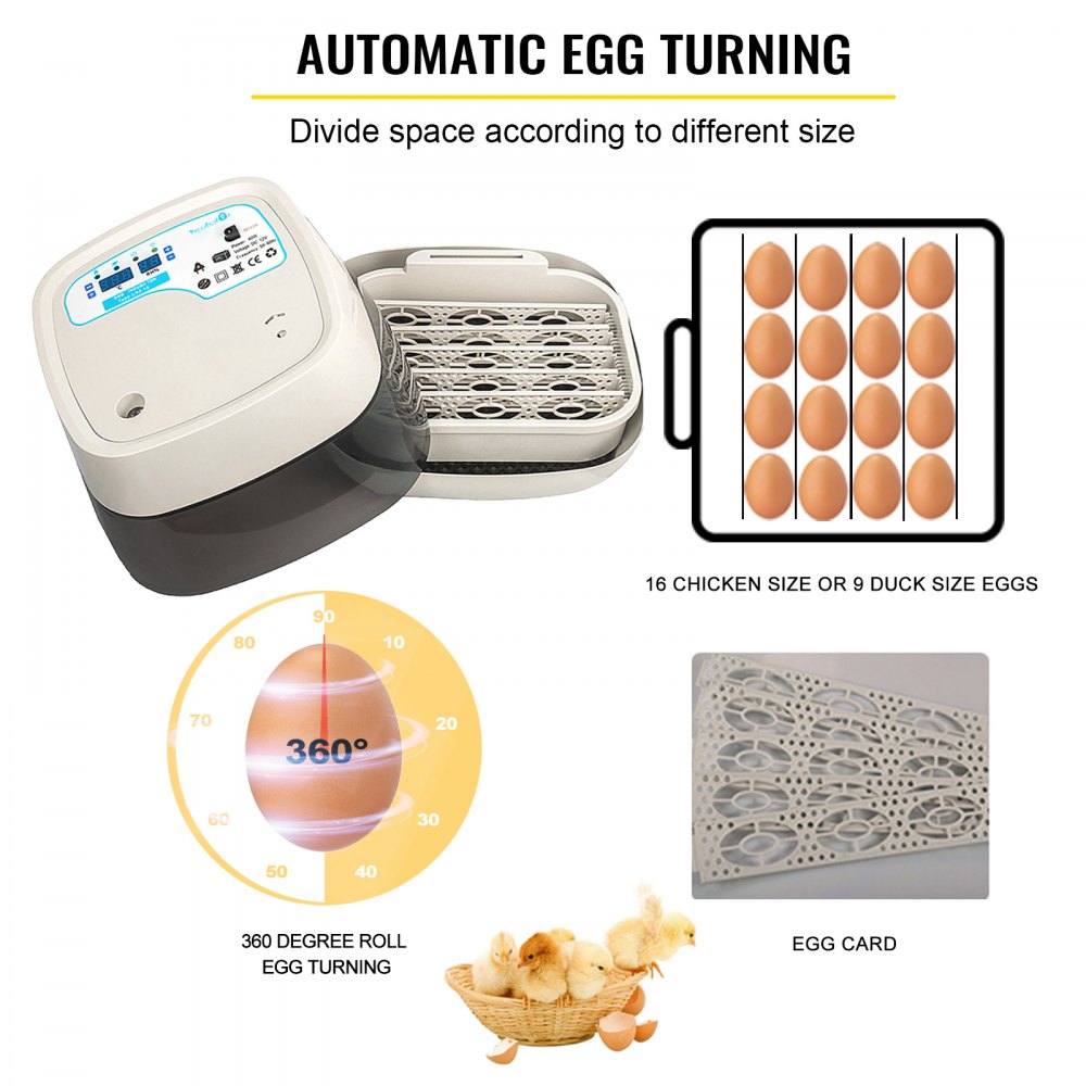 Vevor Incubatrice Per Uova 16 Digital Small Poultry Hatcher Rotolo A 360 Gradi Incubatrice Per Uova Hatcher Controllo Automatico Della Temperatura E Dell'umidità
