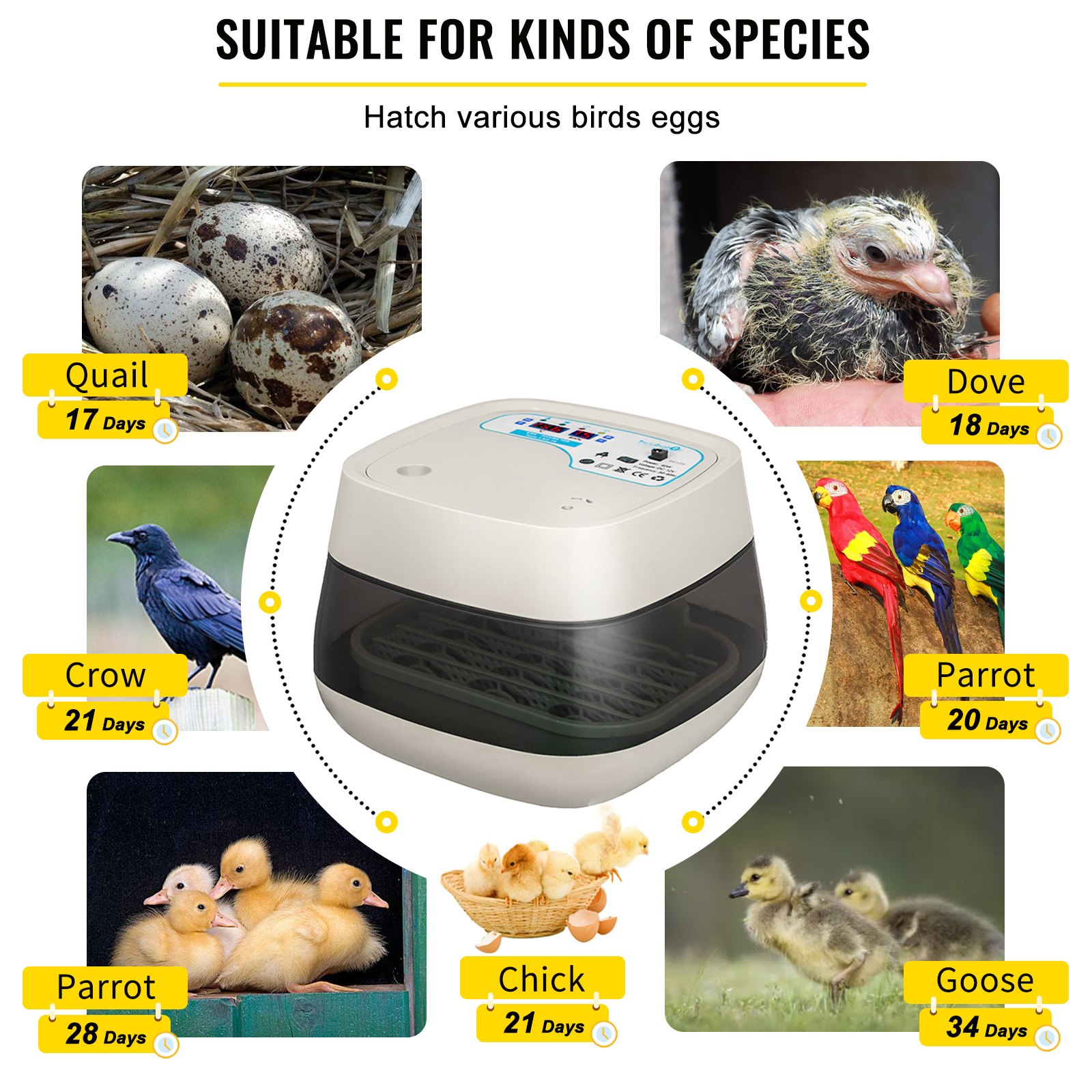 Vevor Incubatrice Per Uova 16 Digital Small Poultry Hatcher Rotolo A 360 Gradi Incubatrice Per Uova Hatcher Controllo Automatico Della Temperatura E Dell'umidità