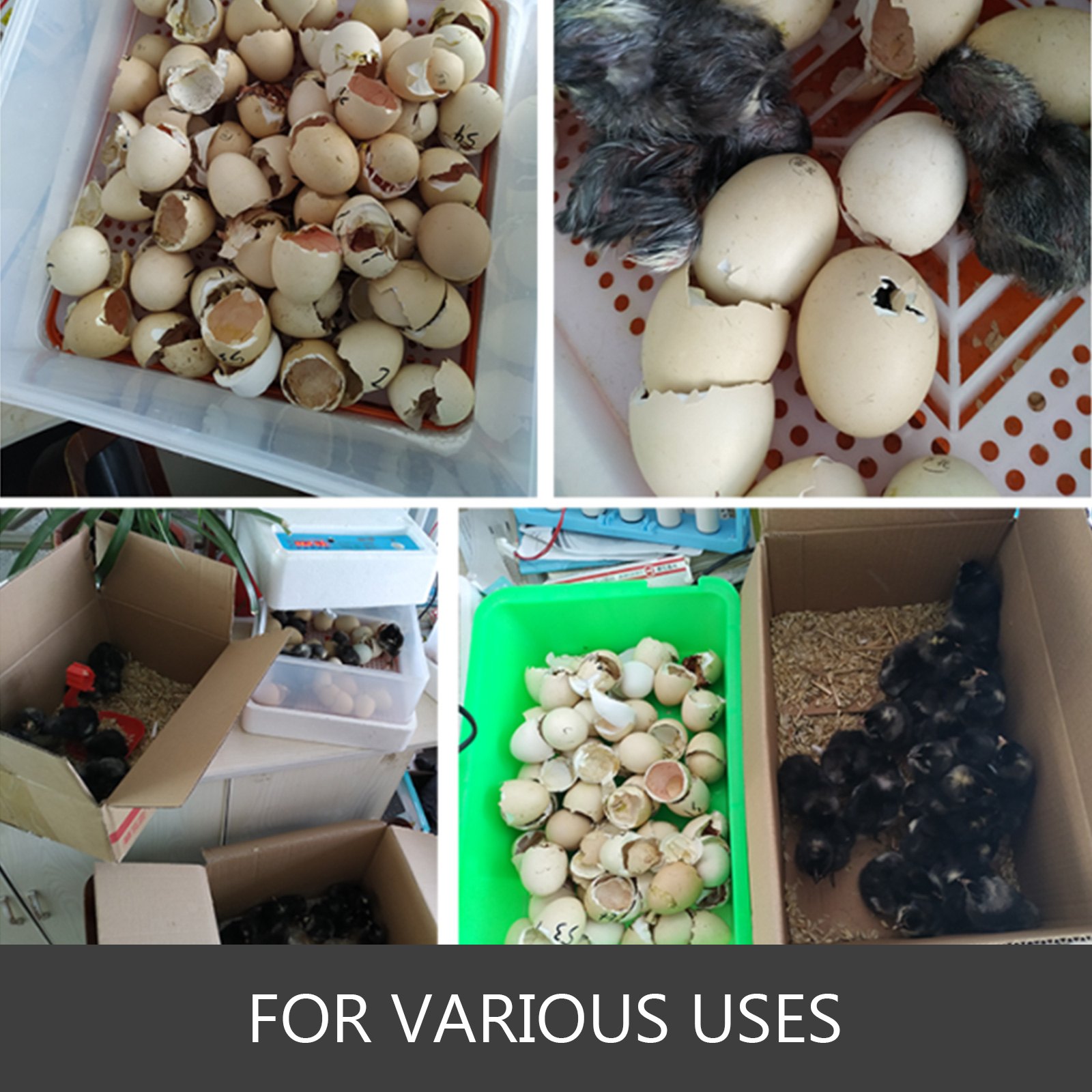 Vevor Ndj-5s Viscosimetro Digitale 220v Viscosimetro Rotativo Digitale 1~100000mpa.s Fluidimeter Tester