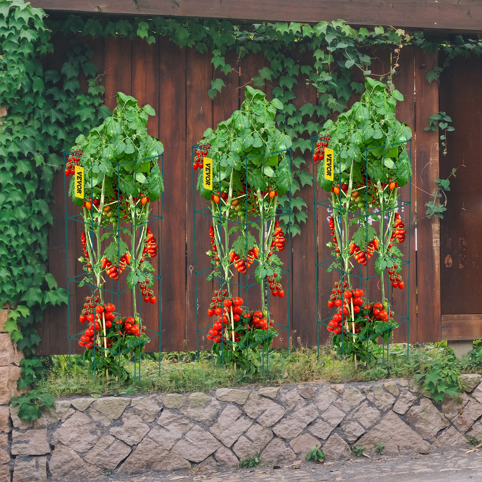 VEVOR Gabbie per Pomodori, 14,6" x 14,6" x 39,4", 6 Confezioni Gabbie di Supporto per Piante Quadrate, Torri di Pomodoro in Acciaio per Verdure Rampicanti, Piante, Fiori, Frutta