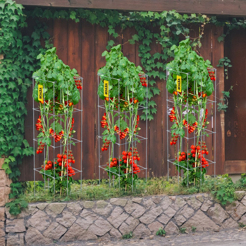 VEVOR Gabbie per Pomodori, 11,8" x 11,8" x 46,1", 5 Confezioni Gabbie di Supporto per Piante Quadrate, Torri per Pomodori in Acciaio per Verdure Rampicanti, Piante, Fiori, Frutta