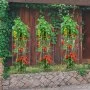 VEVOR Tomato Cages, 30 x 30 x 117 cm, Set of 5 Square Plant Support Cages, Sturdy Silver Tomato Towers Made of PVC-Coated Steel for Climbing Vegetables, Plants, Flowers and Fruits