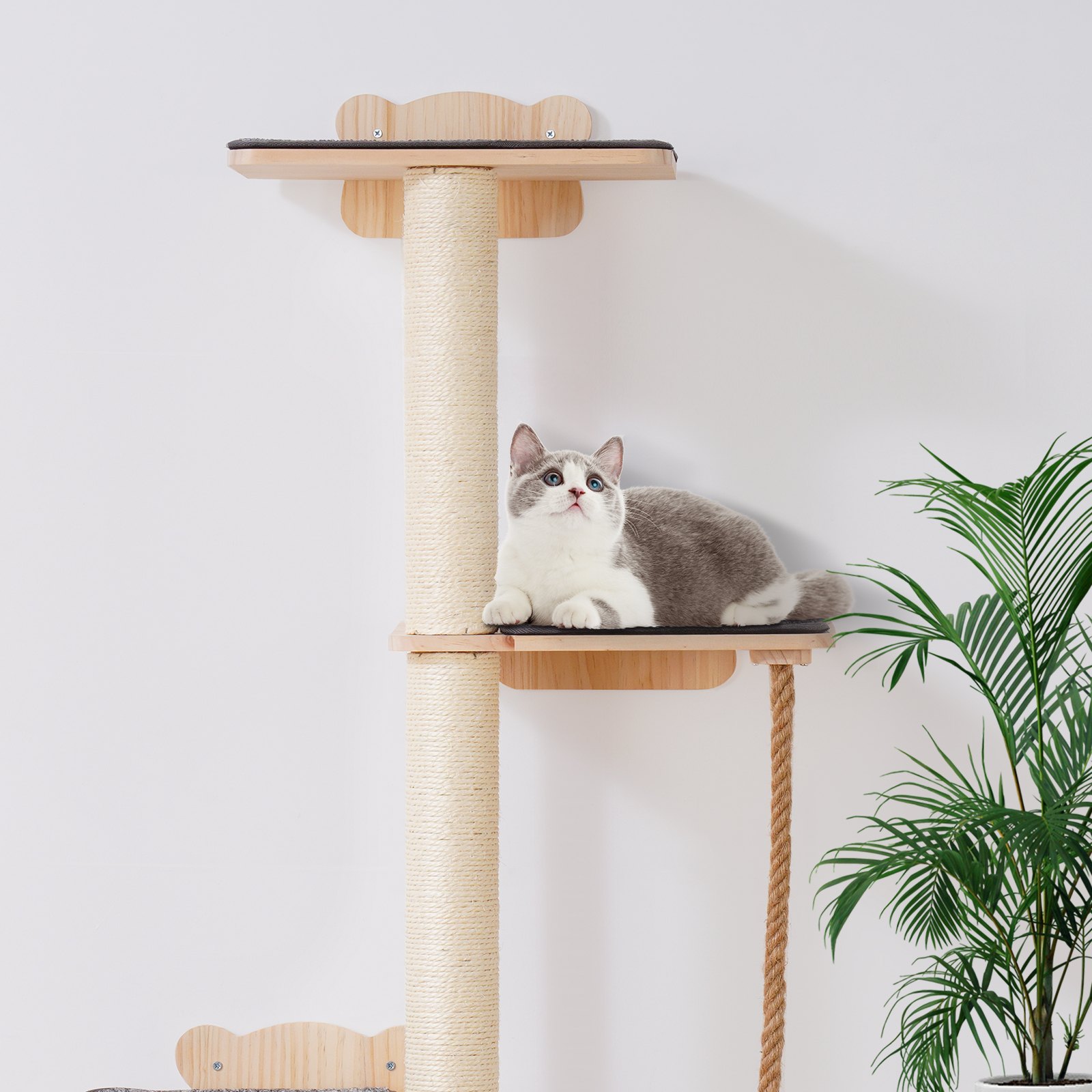 VEVOR Albero per Gatti Alto a 4 Livelli, Set di Mobili da Parete per Gatti 35 x 27 cm 4 Assi per Saltare, Trespolo per Gatti in Legno di Pino 12 mm Fino a 18,14 kg per Dormire, Giocare, Arrampicarsi