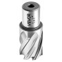 VEVOR Set di Punte per Trapano a Corona HSS 4 pezzi, Set Punte per Albero di Trapano Magnetico Diametro di Taglio 25,4 mm con 2 Perni di Centraggio Profondità di Taglio 25,4 mm Acciaio Rapido M2AL